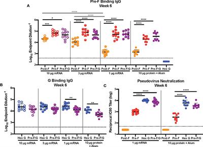 Chimeric Fusion (F) and Attachment (G) Glycoprotein Antigen Delivery by mRNA as a Candidate Nipah Vaccine